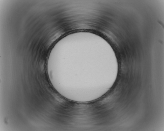 X0000097510873200803142039