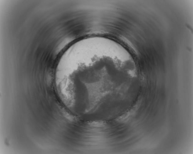 X0000097510874200803142039