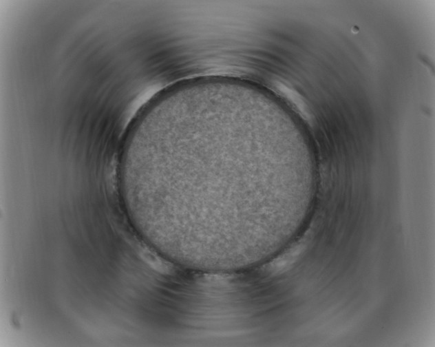 X0000097510875200803142039