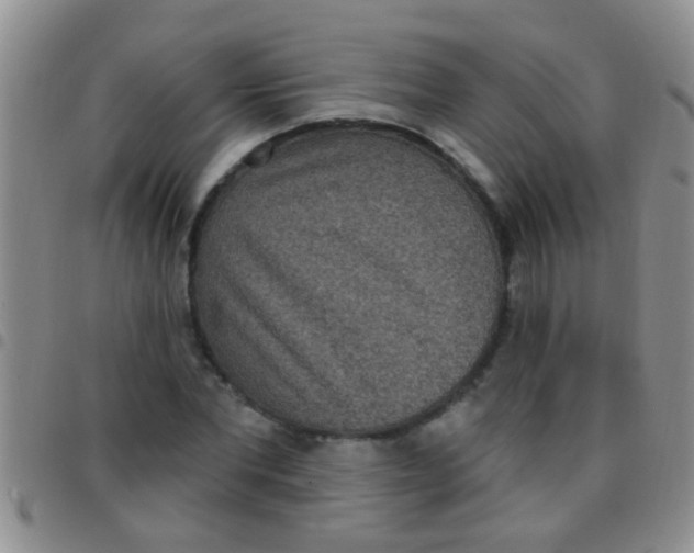 X0000097510877200803142039