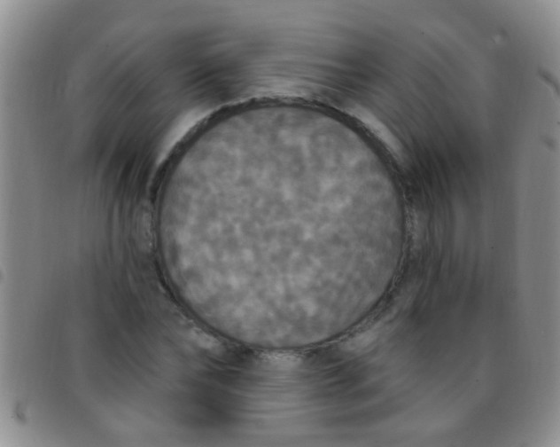 X0000097510878200803142039