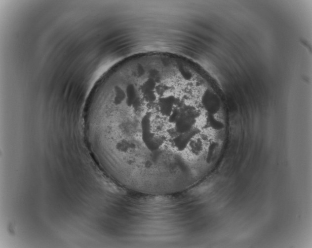 X0000097510879200803142039