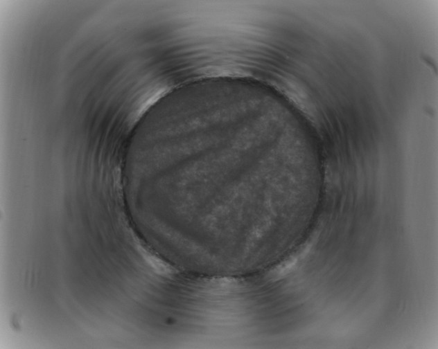 X0000097510881200803142039