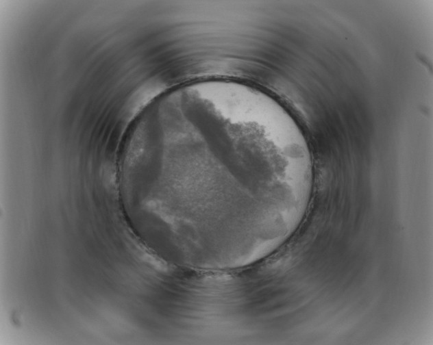 X0000097510882200803142039