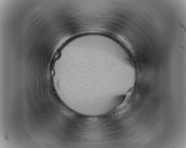 X0000097510883200803142039