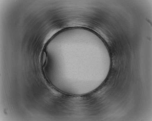 X0000097510885200803142039