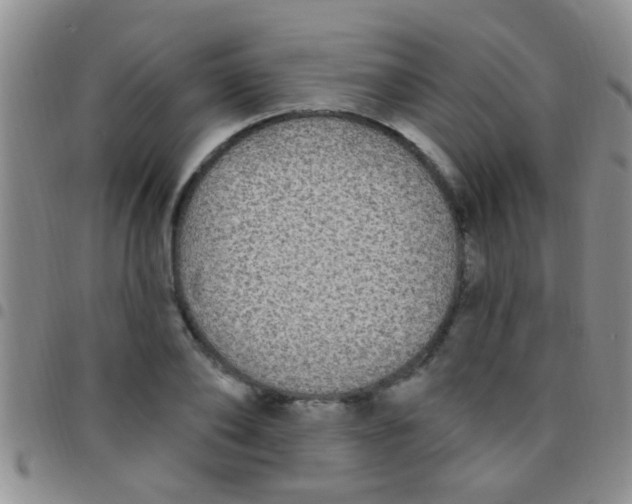 X0000097510886200803142038