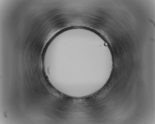 X0000097510887200803142038