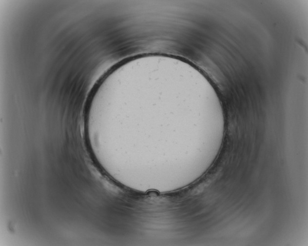 X0000097510888200803142038