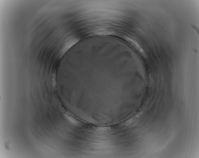 X0000097510889200803142038