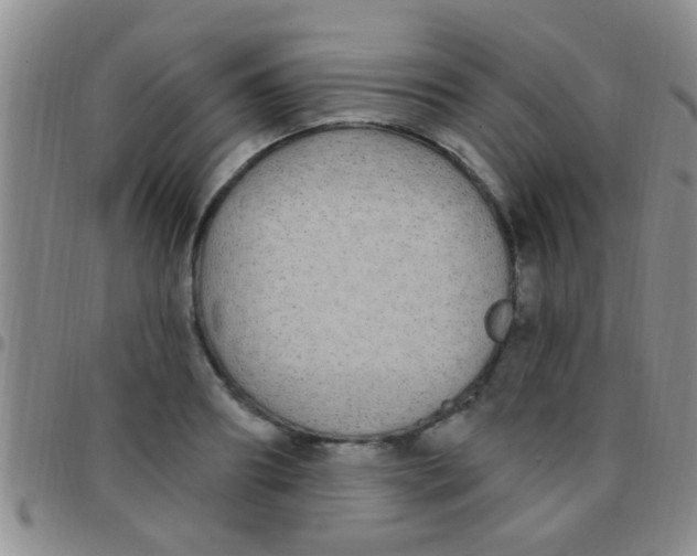 X0000097510890200803142038