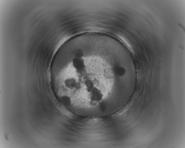 X0000097510891200803142038