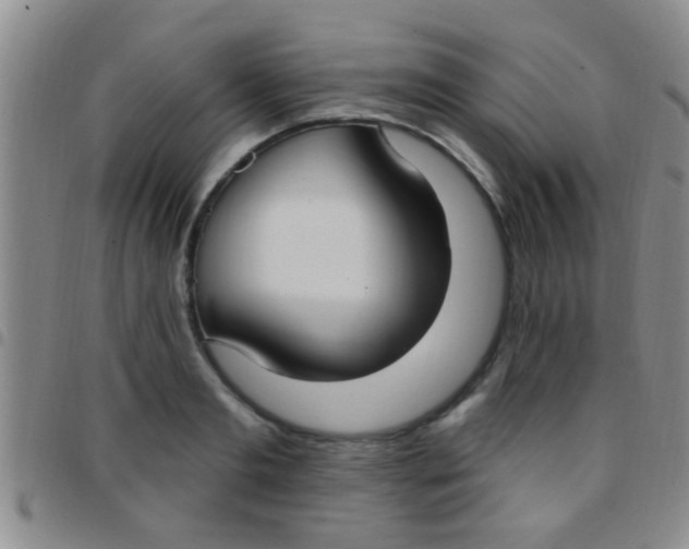 X0000097510893200803142038