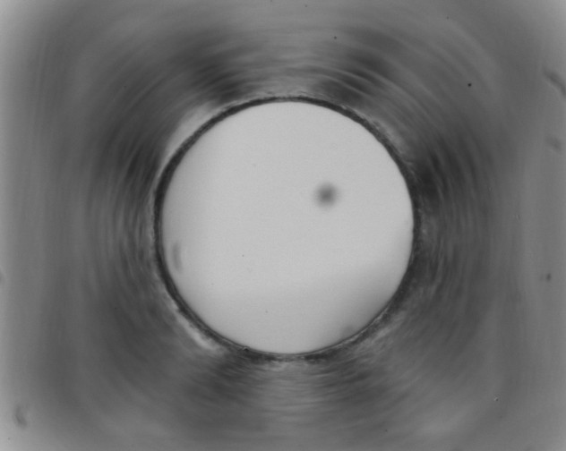 X0000097510894200803142038