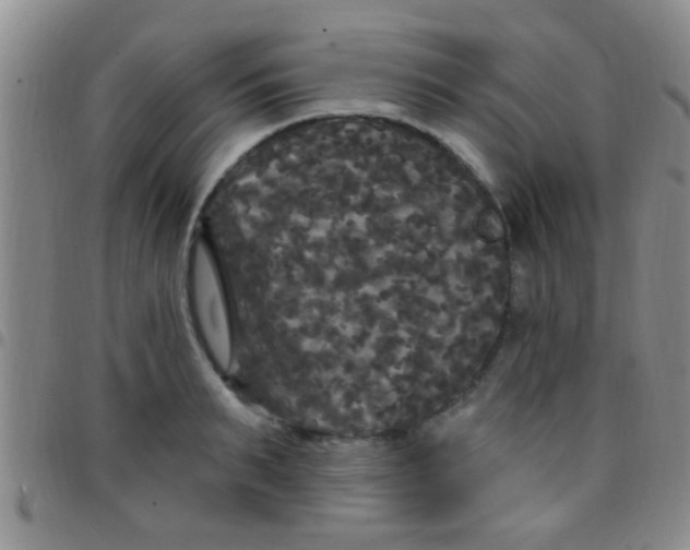 X0000097510895200803142038