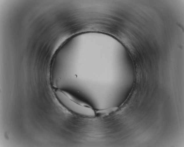 X0000097510896200803142038