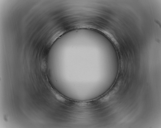 X0000097510897200803142038