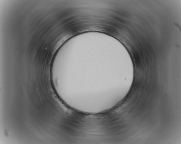 X0000097510898200803142038