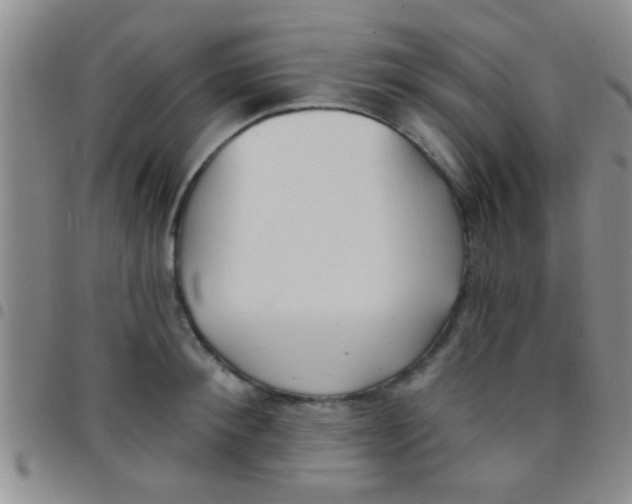 X0000097510900200803142038