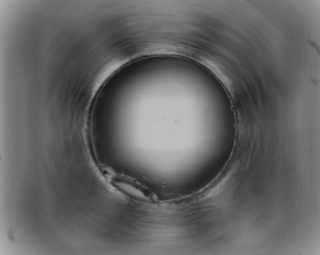 X0000097510901200803142038