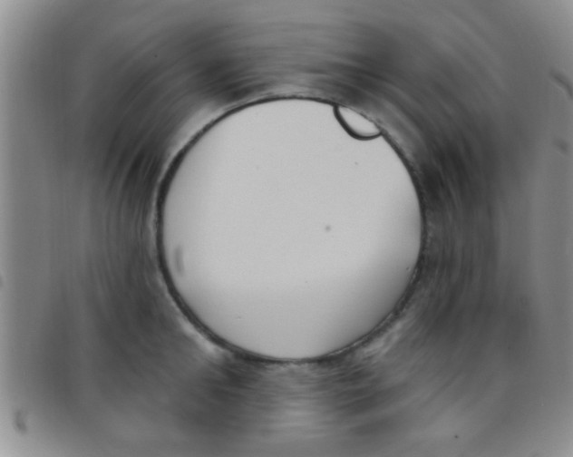 X0000097510902200803142038