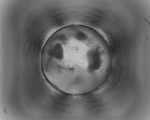 X0000097510903200803142038