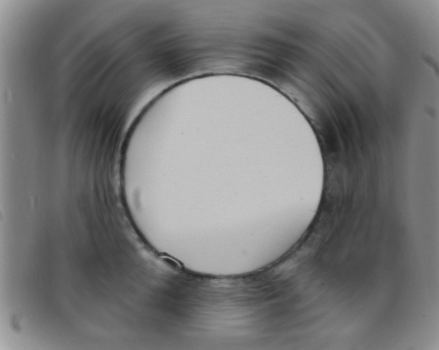 X0000097510904200803142038