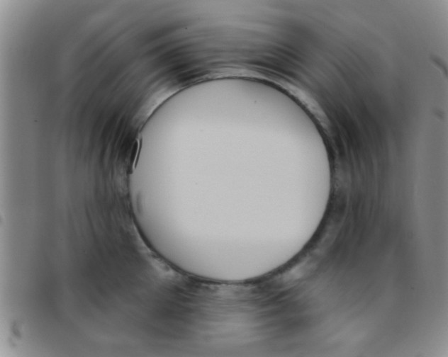 X0000097510905200803142038