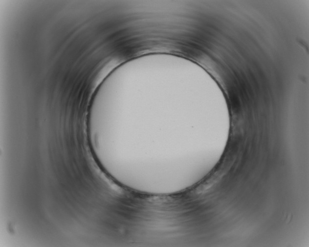 X0000097510906200803142038