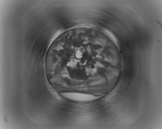 X0000097510907200803142038