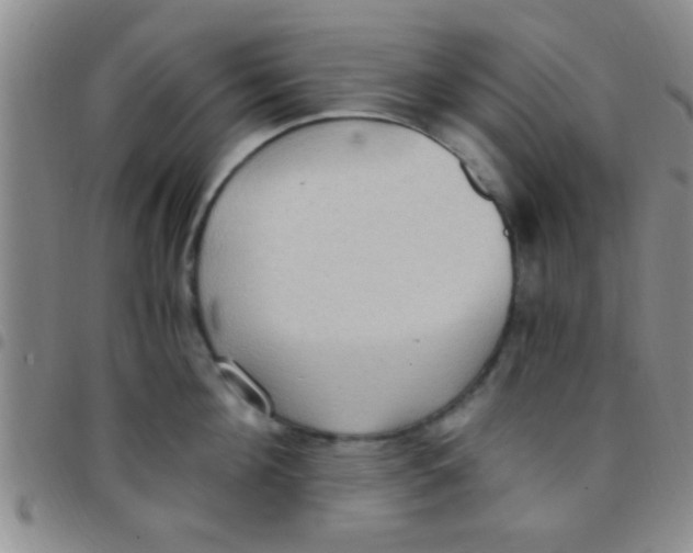 X0000097510908200803142038