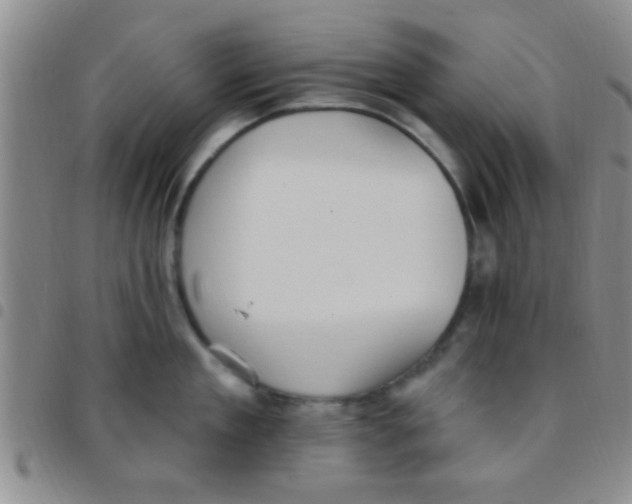 X0000097510909200803142038