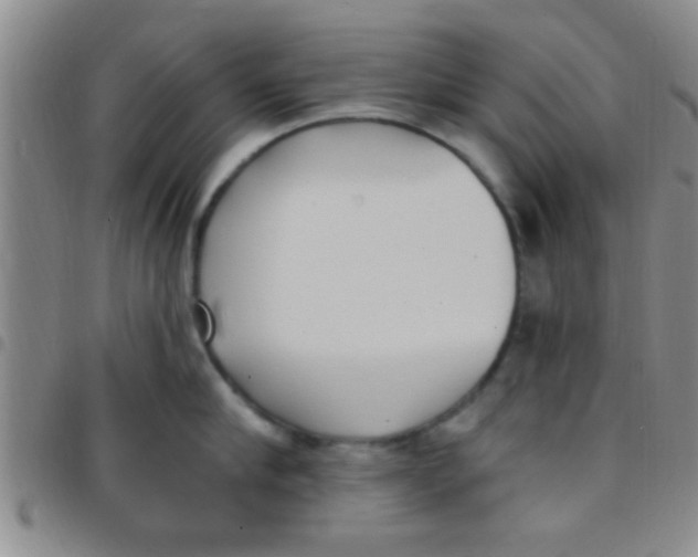 X0000097510910200803142038