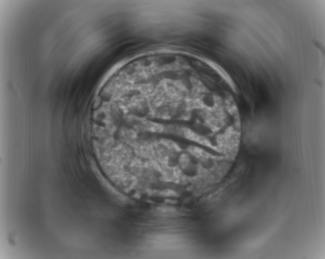 X0000097510911200803142038