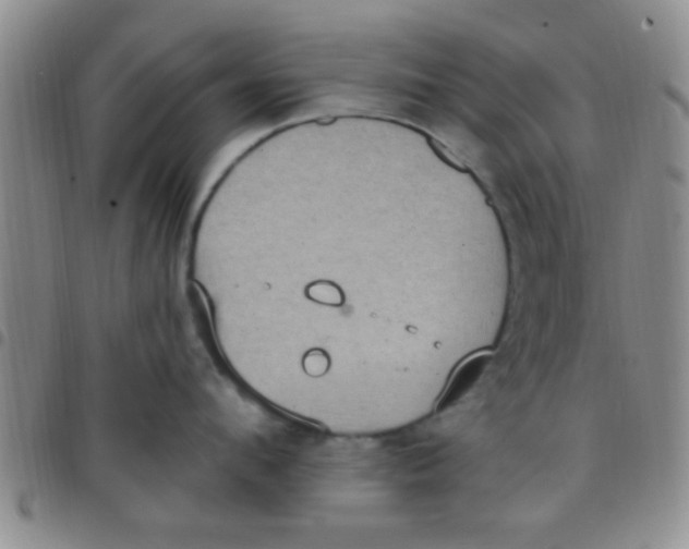 X0000097510912200803142038