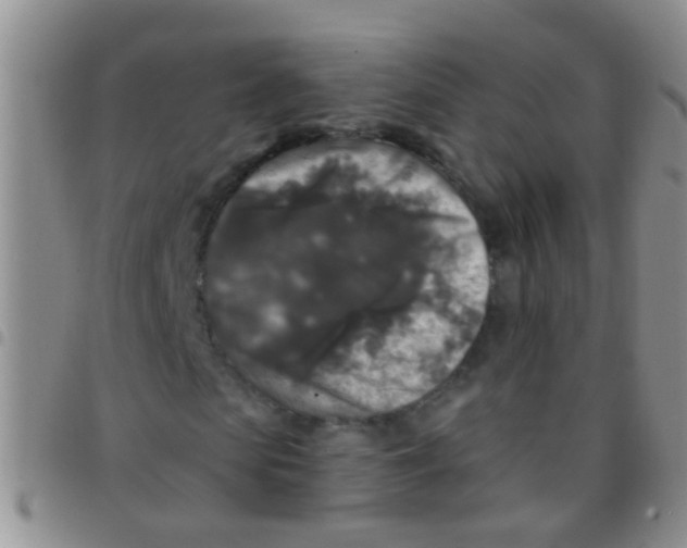 X0000097510913200803142037