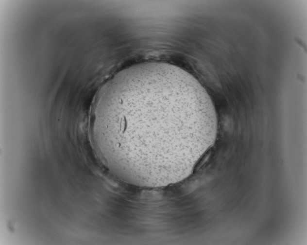 X0000097510914200803142038