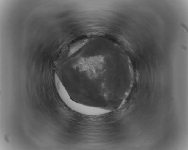 X0000097510915200803142038