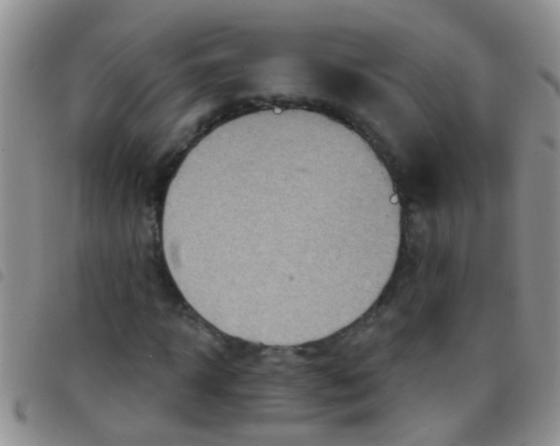 X0000097510918200803142038