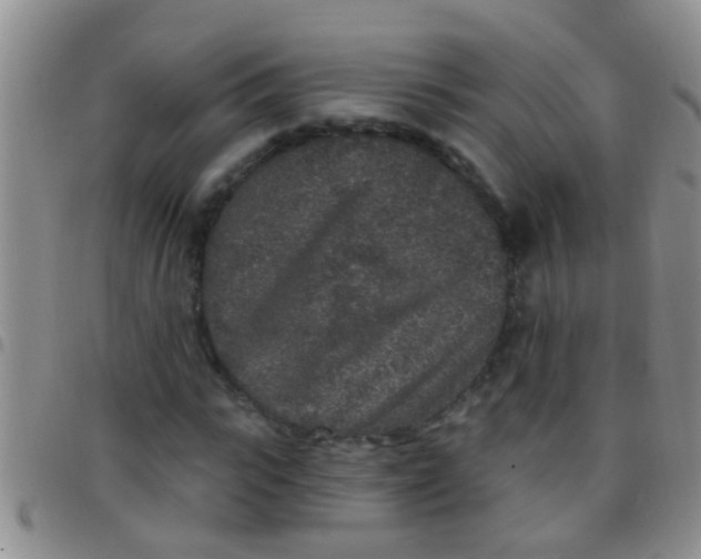 X0000097510919200803142038