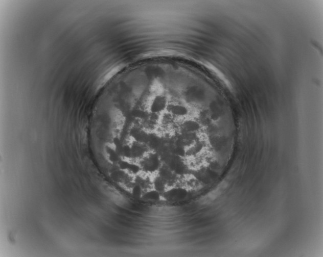 X0000097510921200803142038