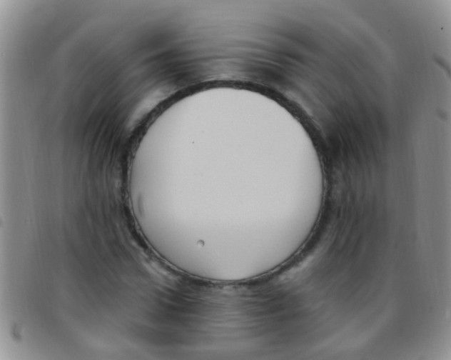 X0000097510922200803142038