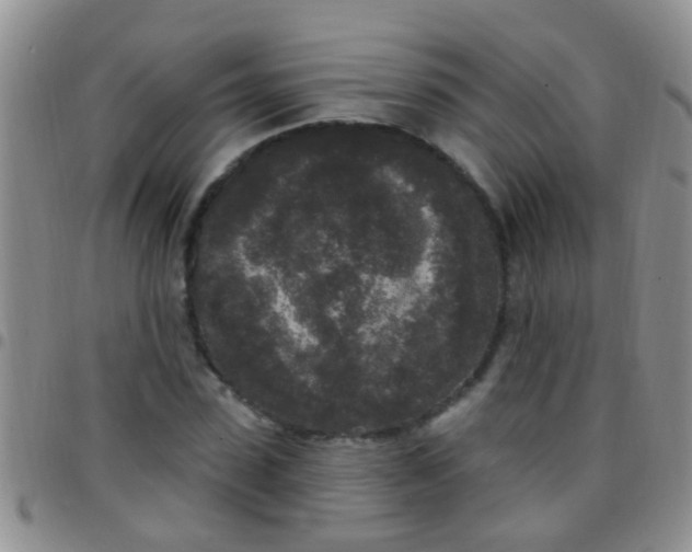 X0000097510923200803142038