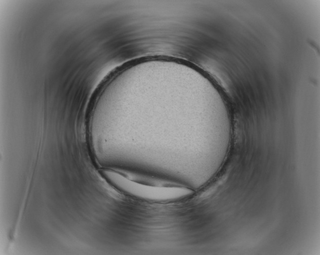 X0000097510924200803142038