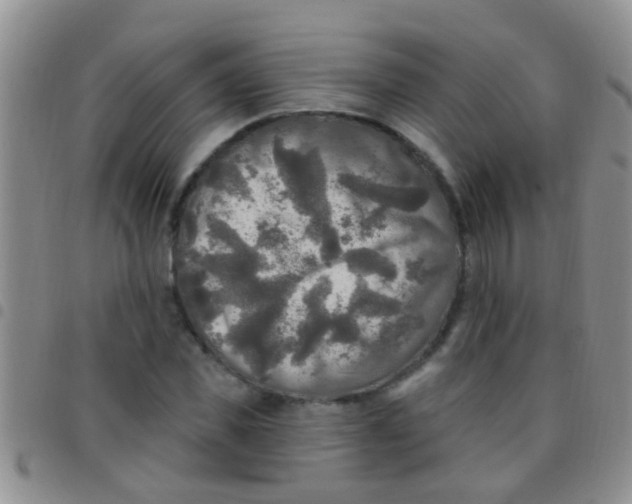 X0000097510925200803142038