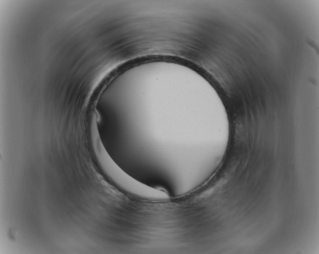 X0000097510926200803142038