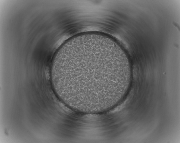 X0000097510929200803142038