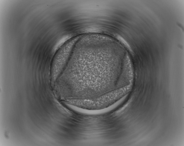 X0000097510930200803142038