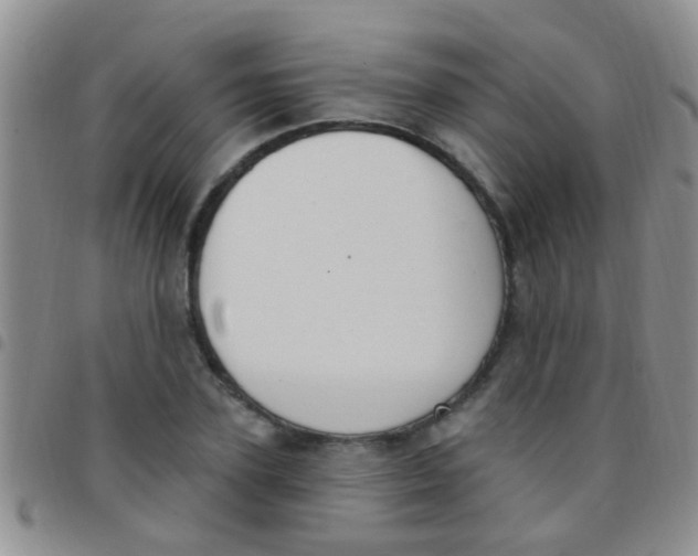 X0000097510931200803142038