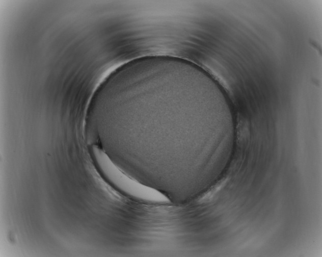 X0000097510932200803142038